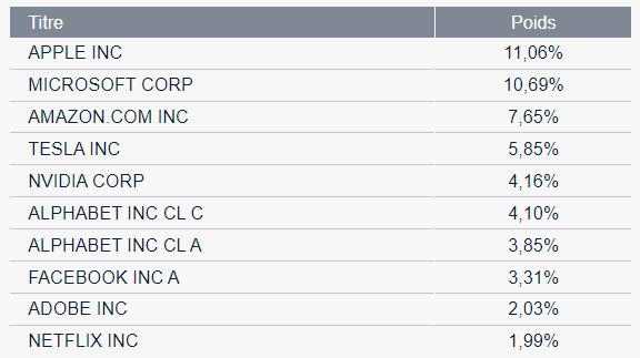 APPLE INC
MICROSOFT CORP
AMAZON.COM INC
TESLA INC
NVIDIA CORP
ALPHABET INC CL C
ALPHABET INC CL A
FACEBOOK INC A
ADOBE INC
NETFLIX INC